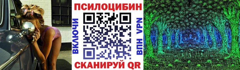 купить наркотик  Елизово  Псилоцибиновые грибы прущие грибы 