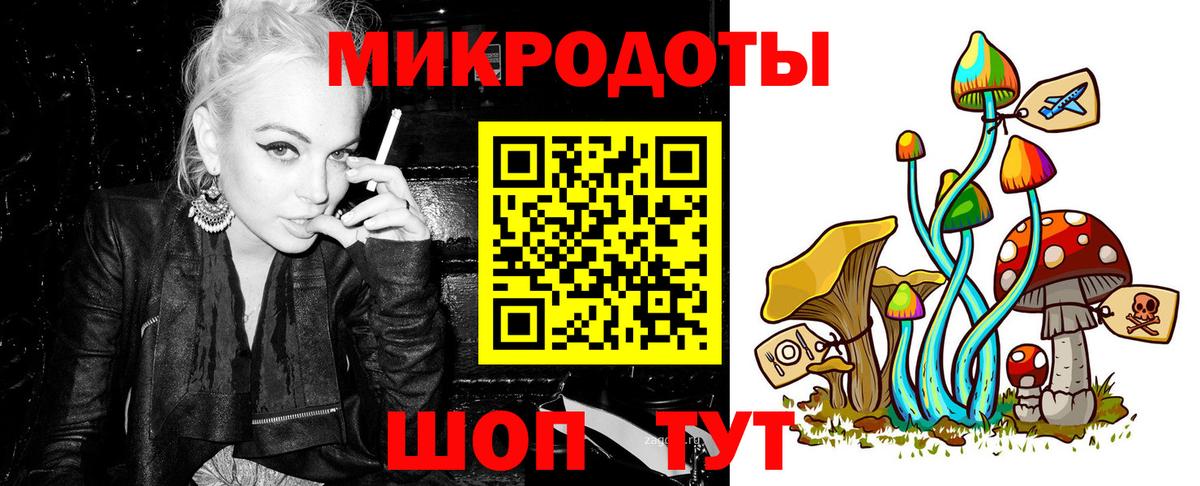 Псилоцибиновые грибы Psilocybe  Елизово 