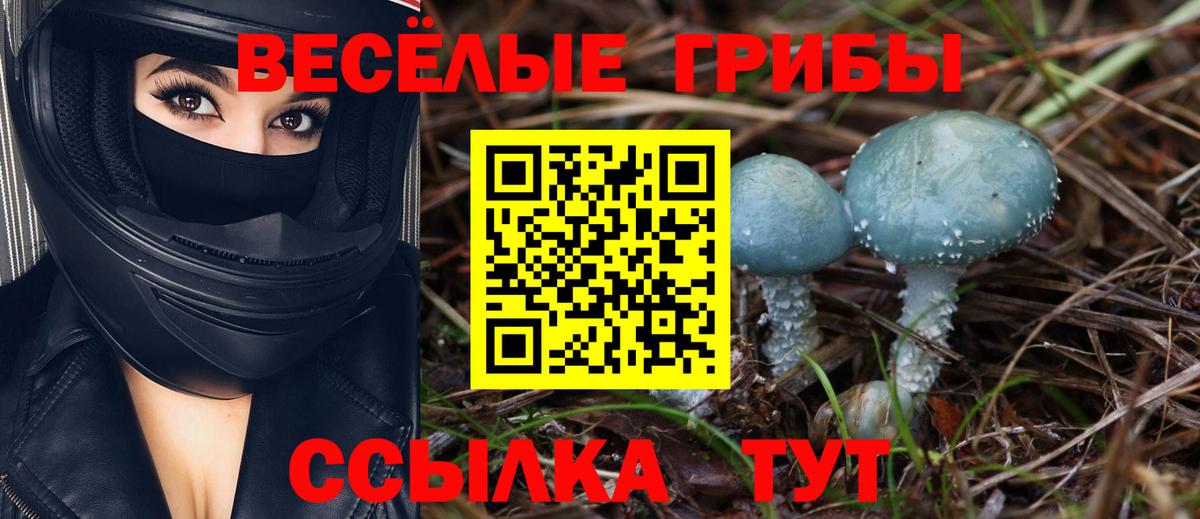 Елизово  APVP СОЛЬ   МДМА  Меф   Гашиш  Марихуана  Меф МЯУ МЯУ кристаллы  Вейп ТГК  КОКАИН  ЭКСТАЗИ 